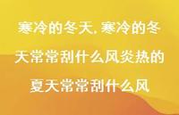 寒冷的冬天常常刮什么风炎热的夏天常常刮什么风【100句文案精选】