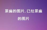 已经累瘫的图片(100句)