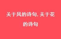 关于花的诗句【100句文案精选】 关于花的诗句【100句文案精选】