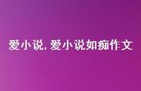 爱小说如痴作文【100句文案】 爱小说如痴作文【100句文案】
