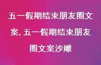 五一假期结束朋友圈文案沙雕(100句)