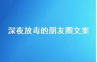 深夜放毒的朋友圈文案【100句精选短句合集】