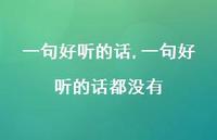 一句好听的话都没有(100句)