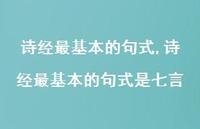 诗经最基本的句式是七言【100句文案精选】