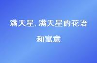 满天星的花语和寓意(100句) 满天星的花语和寓意(100句)