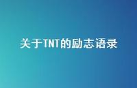 关于TNT的励志语录【100句精选短句合集】