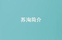苏洵简介75句汇总 苏洵简介75句汇总
