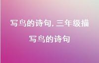 三年级描写鸟的诗句【精品文案100句】