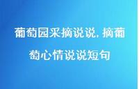 摘葡萄心情说说短句【精选100句】 摘葡萄心情说说短句【精选100句】
