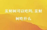 发财树吃什么(100句) 发财树吃什么(100句)