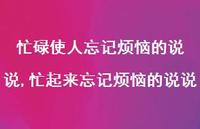 忙起来忘记烦恼的说说(100句) 忙起来忘记烦恼的说说(100句)