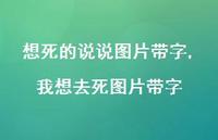 我想去死图片带字(100句)