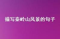 描写秦岭山风景的句子【100句精选短句合集】