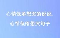 心情低落想哭句子【100句文案】 心情低落想哭句子【100句文案】