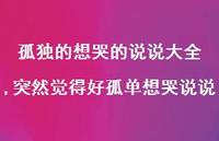 突然觉得好孤单想哭说说【精选100句】