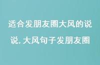 大风句子发朋友圈【100句文案】 大风句子发朋友圈【100句文案】