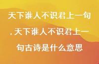 天下谁人不识君上一句古诗是什么意思【精品文案100句】