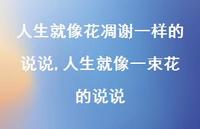 人生就像一束花的说说【100句文案】 人生就像一束花的说说【100句文案】