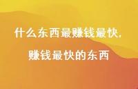 赚钱最快的东西(100句) 赚钱最快的东西(100句)