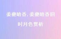 姜夔暗香旧时月色赏析【精品文案100句】