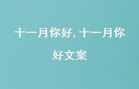 十一月你好文案【精品文案100句】