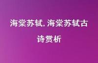 海棠苏轼古诗赏析【100句文案精选】 海棠苏轼古诗赏析【100句文案精选】