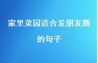家里菜园适合发朋友圈的句子【100句精选短句合集】