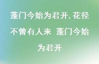 花径不曾有人来 蓬门今始为君开【100句文案精选】