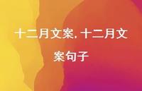 十二月文案句子【精品文案100句】