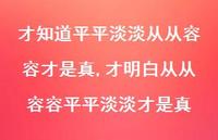才明白从从容容平平淡淡才是真(100句) 才明白从从容容平平淡淡才是真(100句)