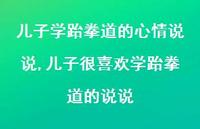 儿子很喜欢学跆拳道的说说(100句)