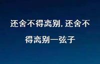 还舍不得离别一弦子【100句文案精选】