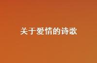 关于爱情的诗歌53句汇总