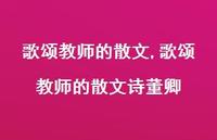 歌颂教师的散文诗董卿【100句文案精选】