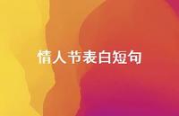 情人节表白短句66句汇总 情人节表白短句66句汇总
