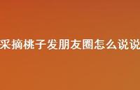 采摘桃子发朋友圈怎么说说【100句精选短句合集】