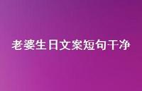 老婆生日文案短句干净【100句精选短句合集】