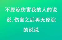 伤害之后再无原谅的说说【精选100句】