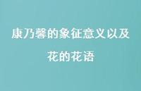康乃馨的象征意义以及花的花语(精选46句) 康乃馨的象征意义以及花的花语(精选46句)