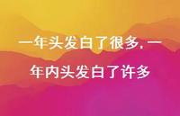 一年内头发白了许多(100句) 一年内头发白了许多(100句)