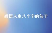 感悟人生八个字的句子49句汇总 感悟人生八个字的句子49句汇总