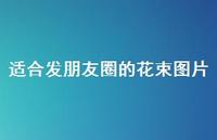 适合发朋友圈的花束图片36句汇总 适合发朋友圈的花束图片36句汇总