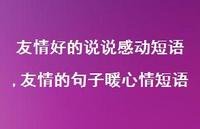 友情的句子暖心情短语【精选100句】
