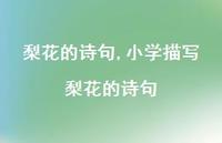 小学描写梨花的诗句【精品文案100句】 小学描写梨花的诗句【精品文案100句】
