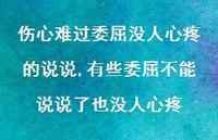 有些委屈不能说说了也没人心疼(100句)