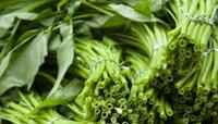 每日生活菜篮子之空心菜 每日生活菜篮子之空心菜
