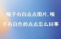 嗓子有白色的点点怎么回事【100句文案】 嗓子有白色的点点怎么回事【100句文案】