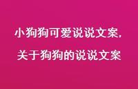 关于狗狗的说说文案(100句) 关于狗狗的说说文案(100句)