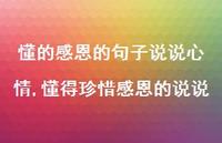 懂得珍惜感恩的说说(100句) 懂得珍惜感恩的说说(100句)