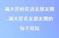 满天星花发朋友圈的句子简短(100句) 满天星花发朋友圈的句子简短(100句)